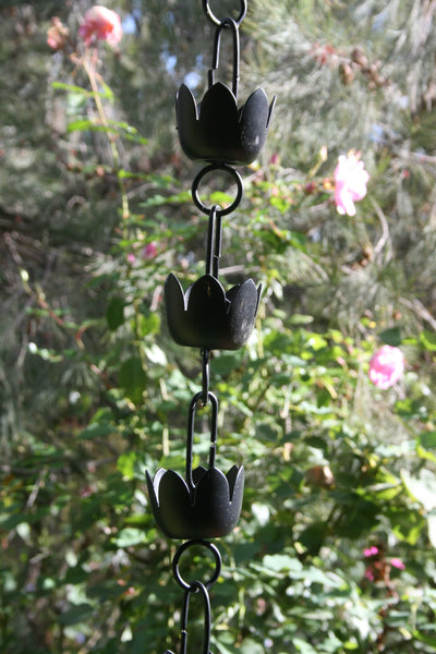 Black Lily Cup