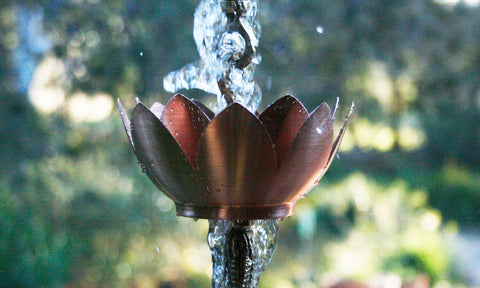 Double Lotus Cup