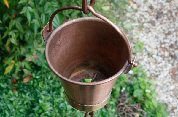 Bucket Cup